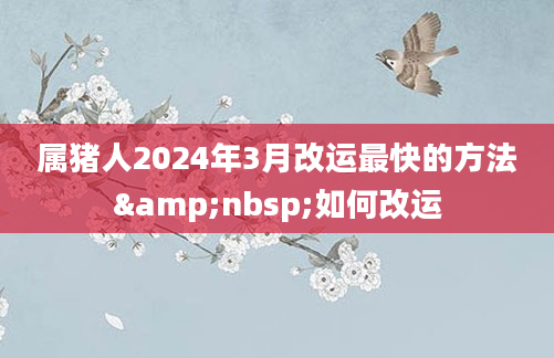 属猪人2024年3月改运最快的方法&nbsp;如何改运