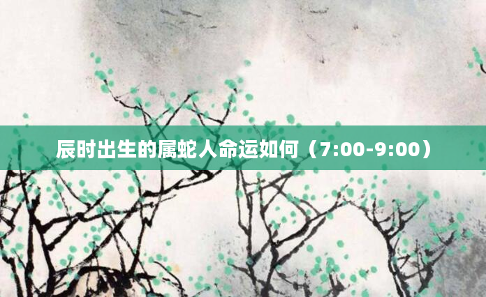 辰时出生的属蛇人命运如何（7:00-9:00）
