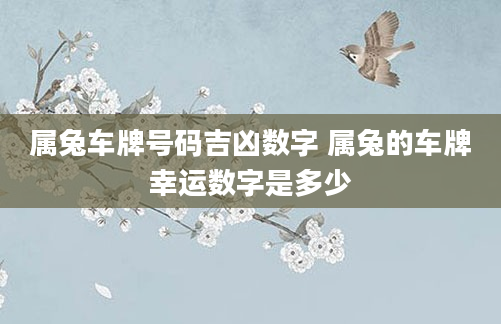 属兔车牌号码吉凶数字 属兔的车牌幸运数字是多少