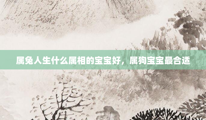 属兔人生什么属相的宝宝好，属狗宝宝最合适