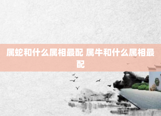 属蛇和什么属相最配 属牛和什么属相最配