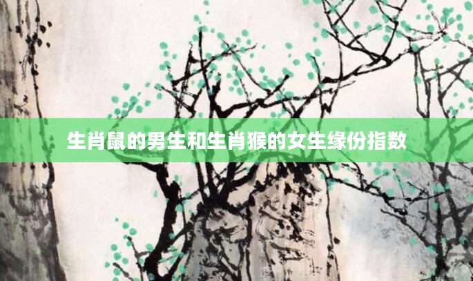 生肖鼠的男生和生肖猴的女生缘份指数