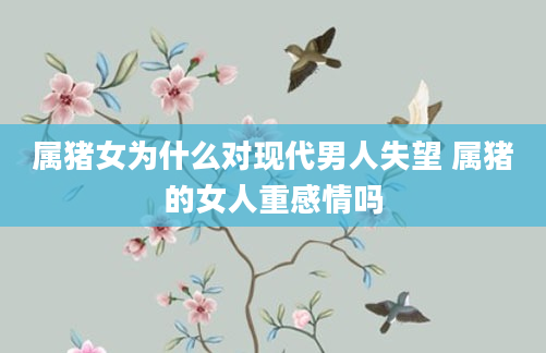 属猪女为什么对现代男人失望 属猪的女人重感情吗