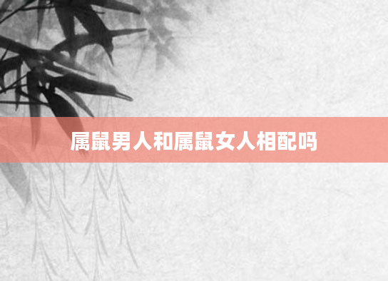 属鼠男人和属鼠女人相配吗
