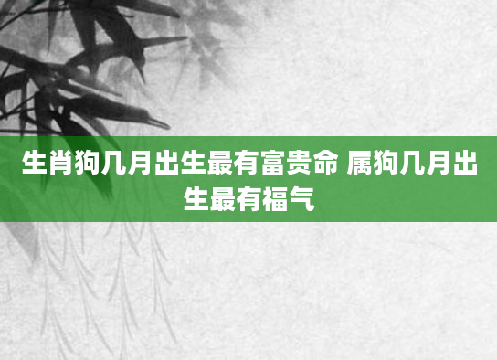 生肖狗几月出生最有富贵命 属狗几月出生最有福气