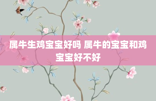 属牛生鸡宝宝好吗 属牛的宝宝和鸡宝宝好不好