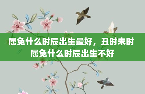 属兔什么时辰出生最好，丑时未时 属兔什么时辰出生不好