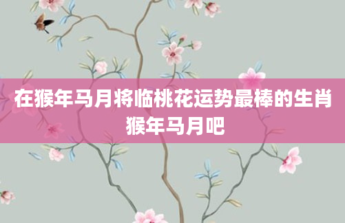 在猴年马月将临桃花运势最棒的生肖 猴年马月吧