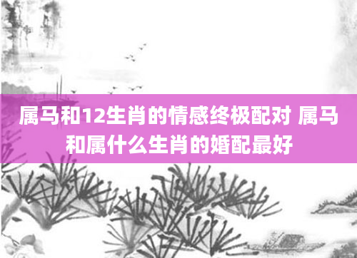 属马和12生肖的情感终极配对 属马和属什么生肖的婚配最好