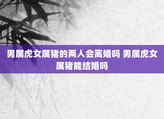 男属虎女属猪的两人会离婚吗 男属虎女属猪能结婚吗