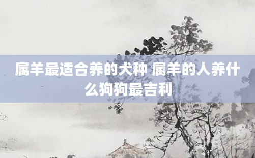 属羊最适合养的犬种 属羊的人养什么狗狗最吉利
