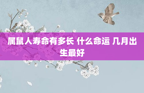 属鼠人寿命有多长 什么命运 几月出生最好