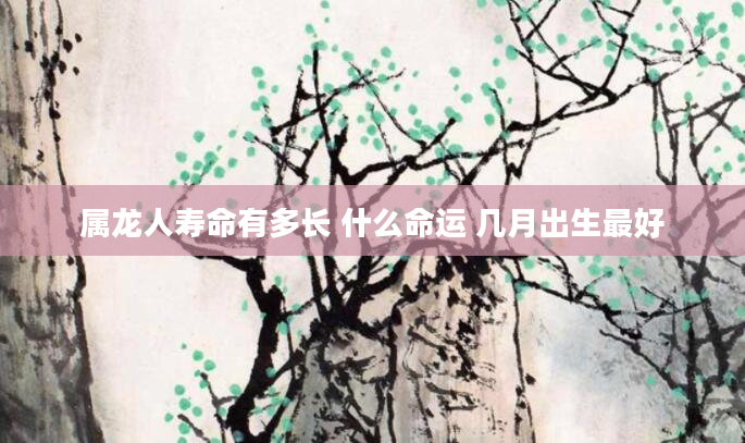 属龙人寿命有多长 什么命运 几月出生最好