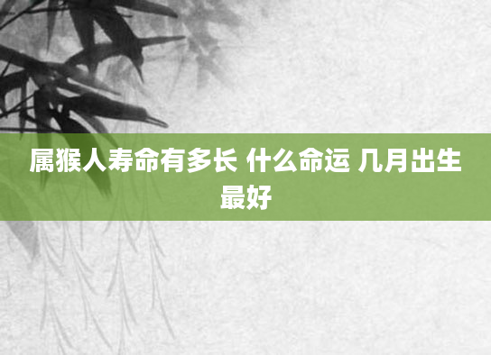 属猴人寿命有多长 什么命运 几月出生最好