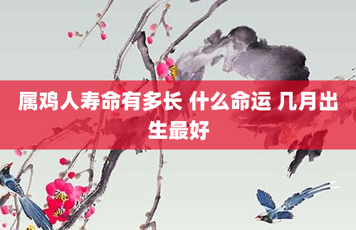 属鸡人寿命有多长 什么命运 几月出生最好