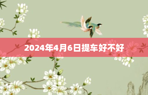 2024年4月6日提车好不好