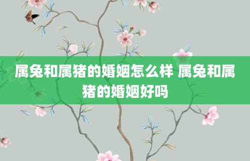 属兔和属猪的婚姻怎么样 属兔和属猪的婚姻好吗