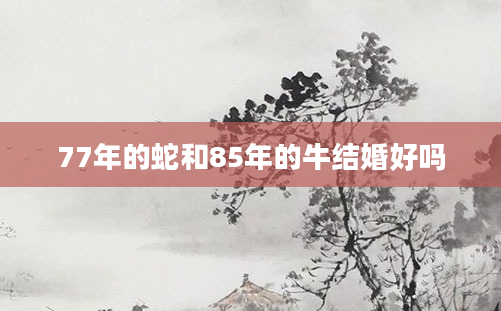 77年的蛇和85年的牛结婚好吗