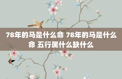 78年的马是什么命 78年的马是什么命 五行属什么缺什么