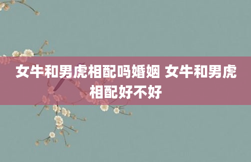 女牛和男虎相配吗婚姻 女牛和男虎相配好不好