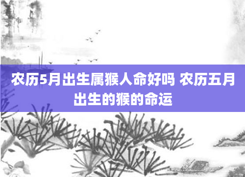 农历5月出生属猴人命好吗 农历五月出生的猴的命运
