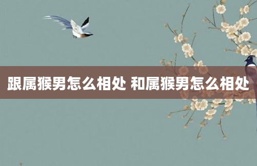 跟属猴男怎么相处 和属猴男怎么相处