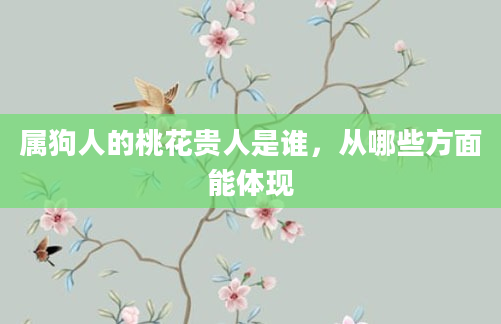 属狗人的桃花贵人是谁，从哪些方面能体现