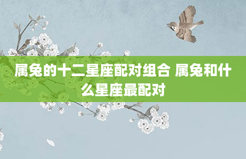 属兔的十二星座配对组合 属兔和什么星座最配对