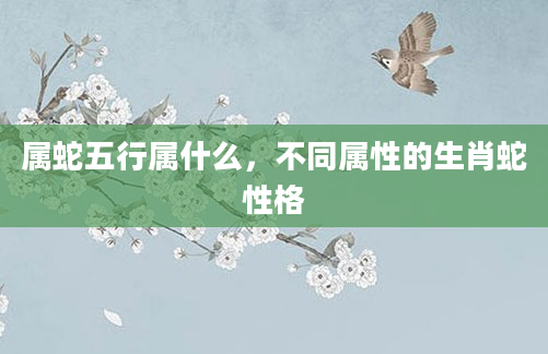 属蛇五行属什么，不同属性的生肖蛇性格