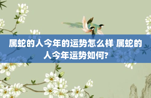 属蛇的人今年的运势怎么样 属蛇的人今年运势如何?
