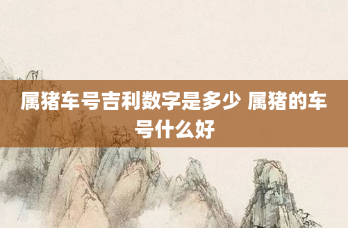 属猪车号吉利数字是多少 属猪的车号什么好