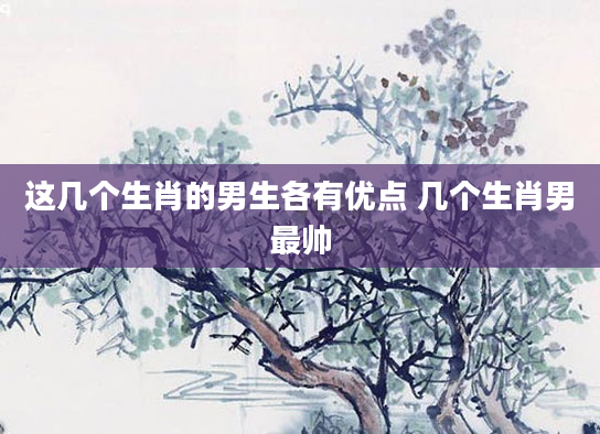 这几个生肖的男生各有优点 几个生肖男最帅