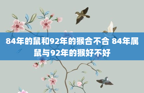 84年的鼠和92年的猴合不合 84年属鼠与92年的猴好不好
