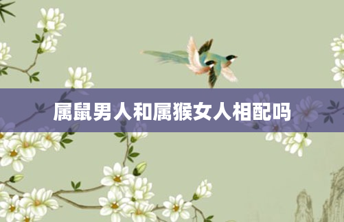 属鼠男人和属猴女人相配吗