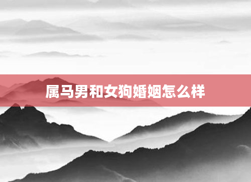 属马男和女狗婚姻怎么样