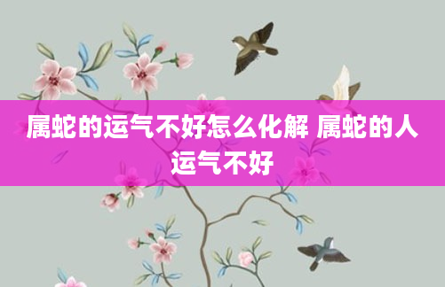 属蛇的运气不好怎么化解 属蛇的人运气不好