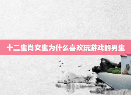 十二生肖女生为什么喜欢玩游戏的男生