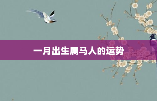一月出生属马人的运势