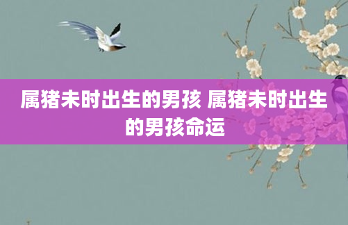 属猪未时出生的男孩 属猪未时出生的男孩命运