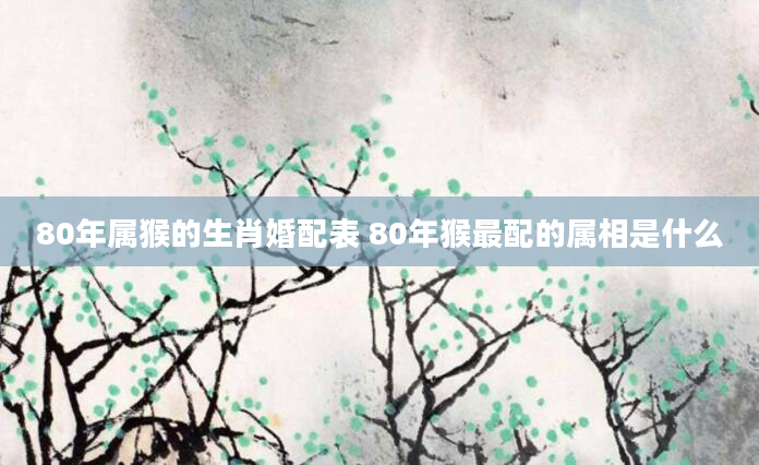 80年属猴的生肖婚配表 80年猴最配的属相是什么