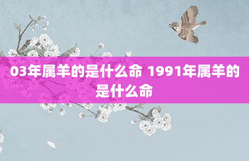 03年属羊的是什么命 1991年属羊的是什么命