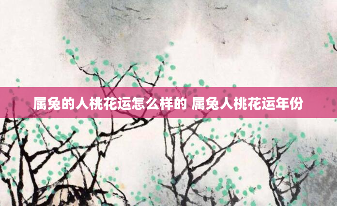 属兔的人桃花运怎么样的 属兔人桃花运年份
