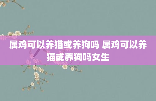 属鸡可以养猫或养狗吗 属鸡可以养猫或养狗吗女生