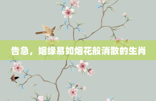 告急，姻缘易如烟花般消散的生肖