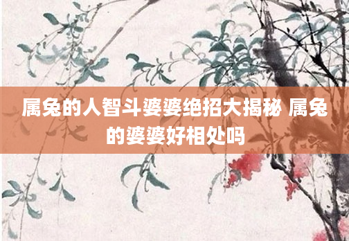 属兔的人智斗婆婆绝招大揭秘 属兔的婆婆好相处吗