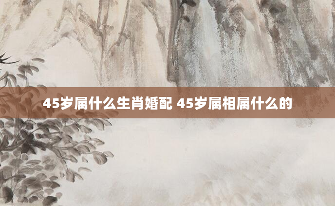 45岁属什么生肖婚配 45岁属相属什么的