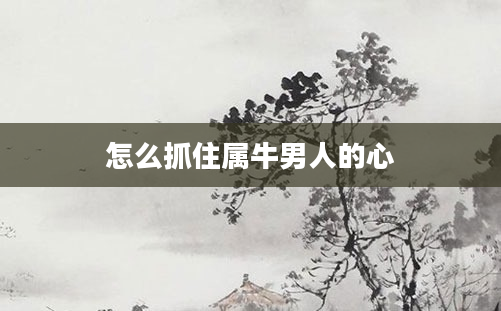 怎么抓住属牛男人的心