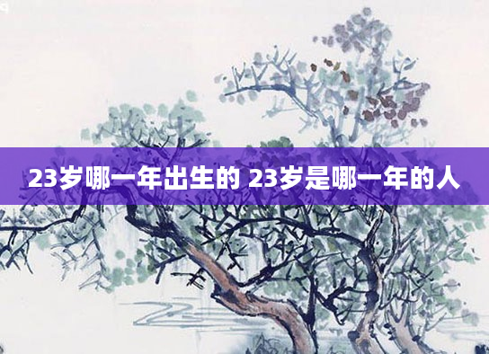 23岁哪一年出生的 23岁是哪一年的人