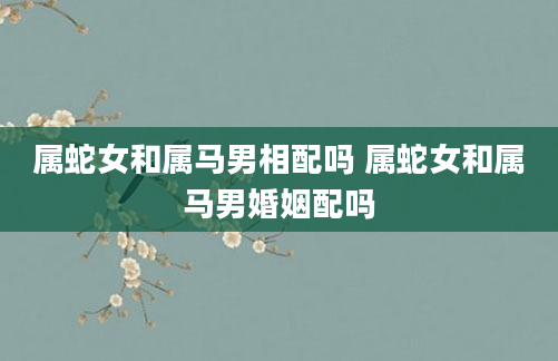 属蛇女和属马男相配吗 属蛇女和属马男婚姻配吗