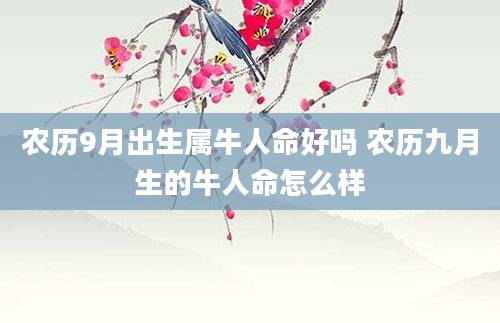 农历9月出生属牛人命好吗 农历九月生的牛人命怎么样